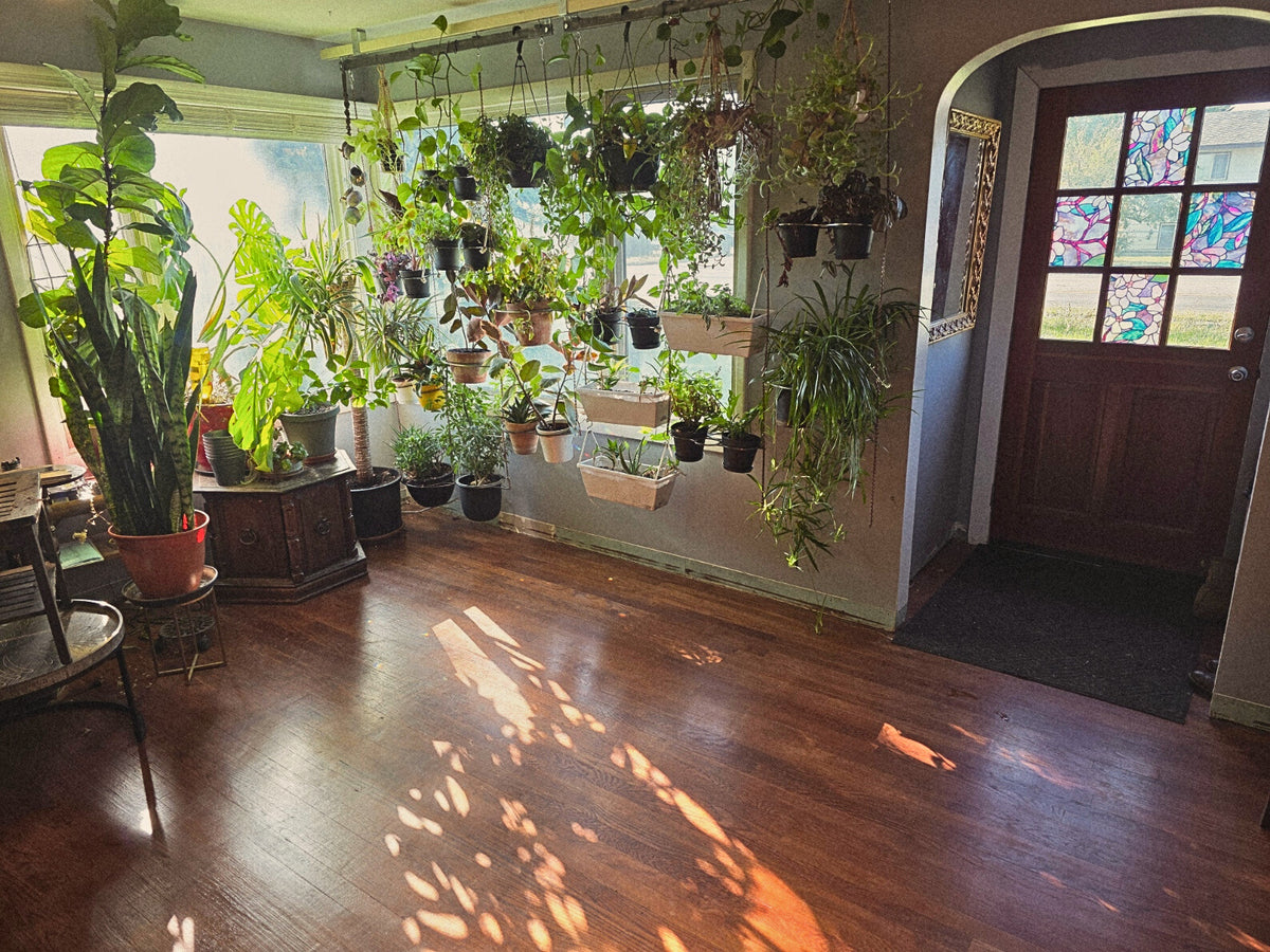 Canopy (Sliding Track System) – Tropism